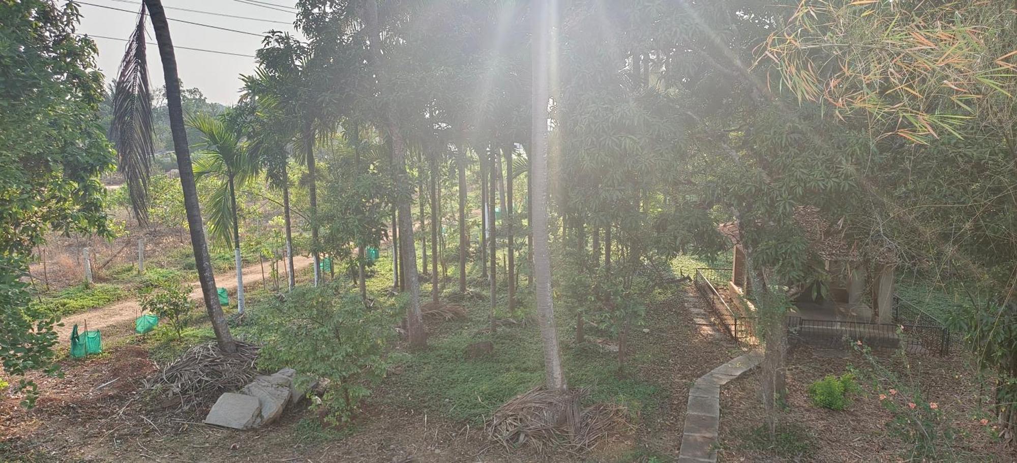 Sugamya Farm Guesthouse Sāgar Zimmer foto